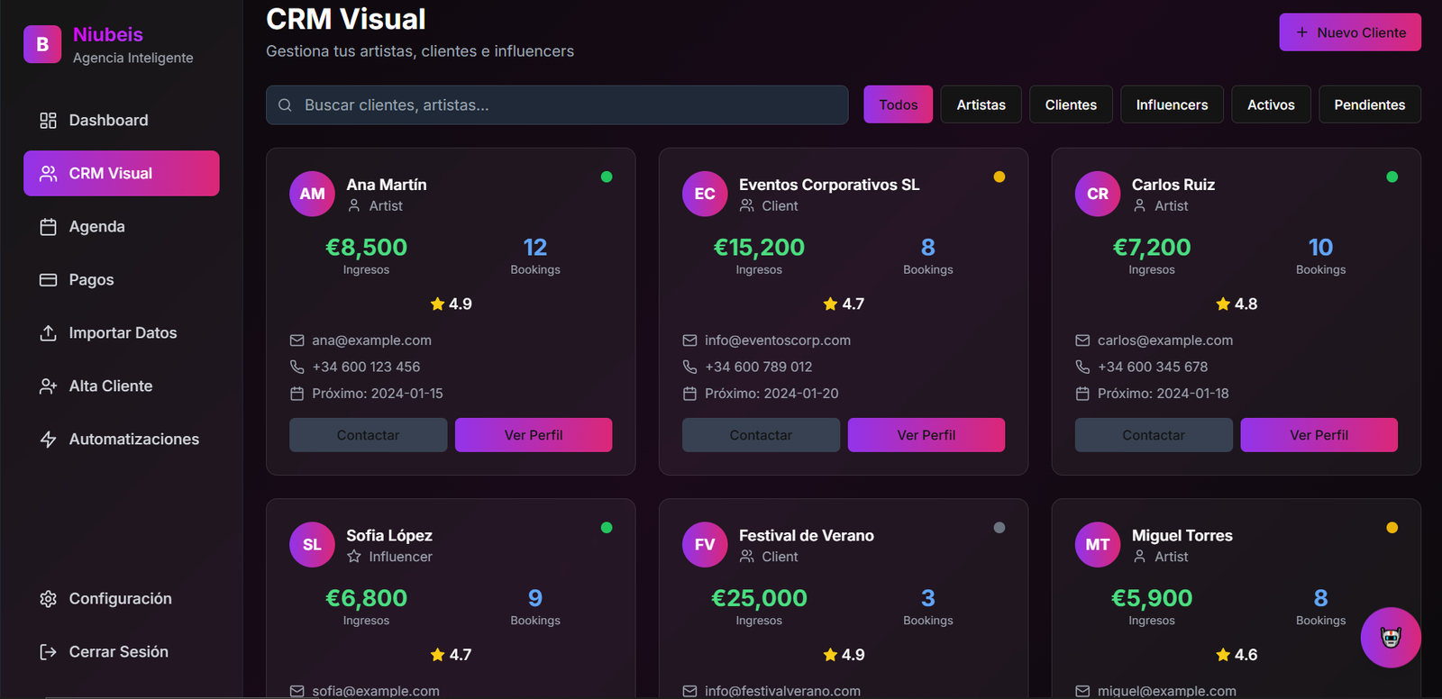 CRM Visual de Niubeis